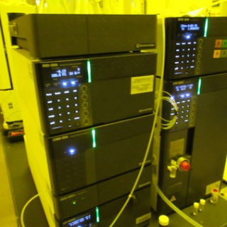 ロマンチック・クッキング&サイエンス