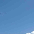 芭蕉布に芭蕉柄の組み合わせ