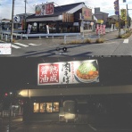 かわうそ、だもんで。