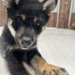 広島県 ワンラブ 福山ポートプラザ天満屋店のスタッフブログ