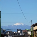 下北沢X物語（5357）-「下北沢文士町文化地図」の歴史的な価値-