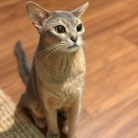 お気に入りのおもちゃが出てこない時の、ちょっと不満げなわか坊