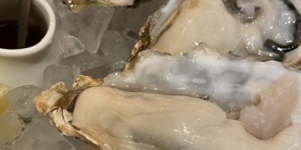 【ななし】ガサキ、ゆげと牡蠣『最近牡蠣当たってる奴ばっかだからフラグにしか見えない』