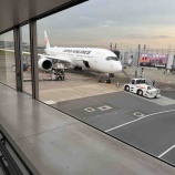 『沖縄へ』の画像