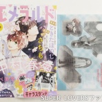 SUPER LOVERSファンブログ