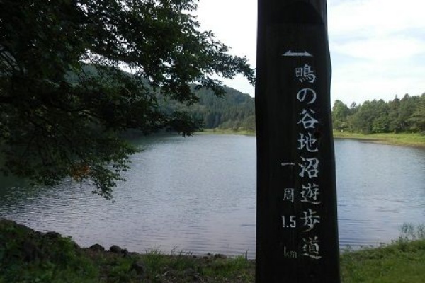 おでかけワンコだにゃ 14年犬連れ東北 北海道の旅