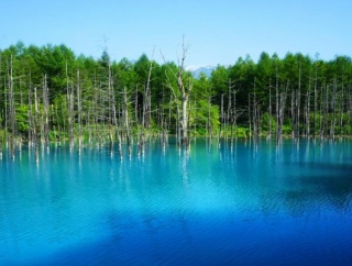 三大正直よく分からない地域「兵庫の真ん中」「北海道のほぼ全て」あと一つは？