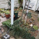 写真のクラ蔵 ライブドア