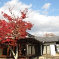 神戸女子大学古典芸能研究センター特別展示「写真家 佐藤順子の視た 阿波人形浄瑠璃」