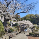 ほんわか　まったり