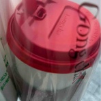 きゅきゅぐまのいちにち。