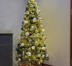 クリスマスツリーとベツレヘムの星★