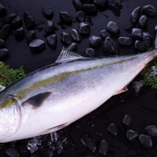 明日数年ブリにスロット打ちに行くんやがおすすめの台教えてくれ