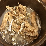 デジタルスタジオナガイ（こどもらいおん）