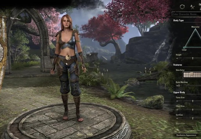 【エルダースクロールズオンライン】名前って日本語表記使えるの？キャラクリ【ESO】