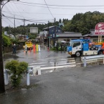 かもしてパッパラなーるなる