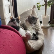 あなたが居なくなって3年が経ちました
