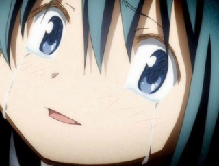 まどマギの美樹さやかという無能な上に行動力があるキャラ