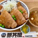 たぬきパラダイス