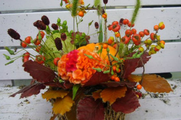 パンプキンアレンジ ヴェロニカ便り