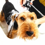 『新たな到達点(6100回記念)(3)』の画像