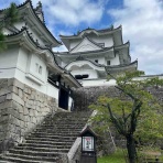 勝手に堺市広報大使