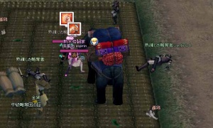 略奪団親分が無慈悲な鉄槌で雌鳥を殺害