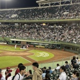 『プロ野球ファンの構成比』の画像