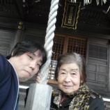 『✨初詣✨』の画像