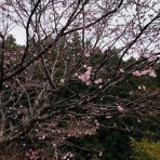 アフィリエイトを実践（継続）する為の私の作戦