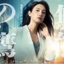 無能の鷹　251217