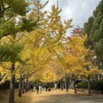 ナチュラルライフ