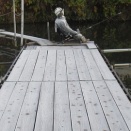 お米ダービー開幕！