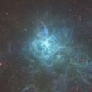 リコリモ　3回目はタランチュラ星雲