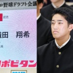 のらのら広報室