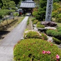 大池寺