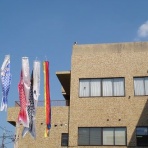 わらびフクちゃんBLOG