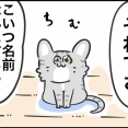迷い猫がやってきた ③ 名前が決まりました