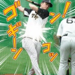 一緒に阪神タイガースを応援しよう！
