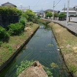 『1回生自己紹介/大野晃嗣』の画像
