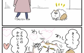 猫にどうしたのって言いがち