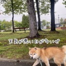 寒い北海道