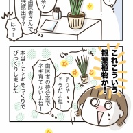 ネギ発見
