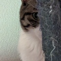 口元が見えて　そら君
