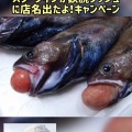 鉄腕ダッシュにスターダイブ店名が出たよ！キャンペーン開始