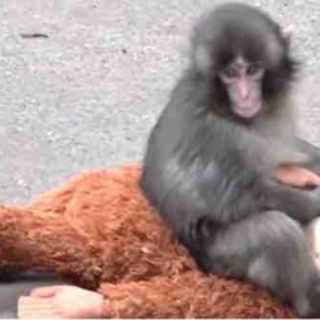 ＬＡおすすめ&クチコミ生活～中級編