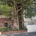 似非管理者の寂しい夜