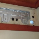 コウモリさん越冬