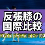 札幌の悩めるバレエ•フィギュアスケート•ダンサーの為の情報箱
