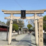 『【東大阪市近江堂】かつて河口だった場所に鎮座する弥刀神社 江戸時代の神社建築様式の本殿は市有形文化財に指定』の画像